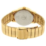 Titan Analog with Day and Date Champagne Dial Metal Strap watch for Men - Image 3