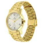 Titan Quartz Analog Silver Round Dial Golden Stainless Steel Strap Watch For Men