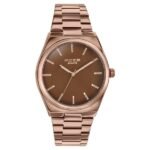 Sonata Poze Quartz Analog Brown Dial Brown Metal Strap Watch For Men