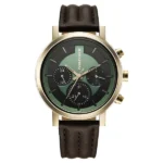 Fastrack Chrome K Quartz Multifunction Green Dial Brown Leather Strap Watch For Guys