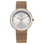 Vyb Lumina By Fastrack Quartz Analog Silver Dial Rose Gold Stainless Steel Strap Watch For Girls