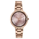 Poze By Sonata Quartz Analog Pink Dial Rose Gold Metal Strap Watch For Women
