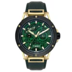 TIMEX Green Round Dial Analog Men's Watch
