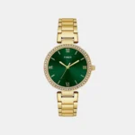 Trendline Women Quartz Green Dial Analog Stainless Steel Watch TWEL18713