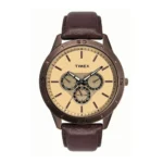 Timex Fashion Men's Quartz Analog Brown Dial Round Case Multifunction Function