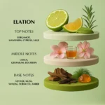 ELATION FOR MEN - 18ML - Image 3