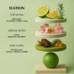 ELATION - EDP FOR HIM - Image 3