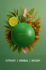 ELATION - EDP FOR HIM - Image 2