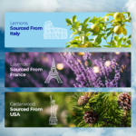 Fastrack Crave Perfume | Perfume for Men |100 ml EDP - Image 3