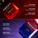 Fastrack Gift Pack | Unisex | 50 ml x 2 - Image 3