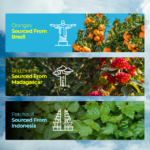 Fastrack Celeb Perfume  Perfume for Women 100 ml EDP - Image 3