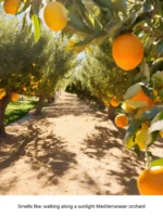 VIBE UNISEX EDP - 18ML - Image 5