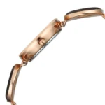 Titan Raga Afterglow Quartz Analog Rose Gold Dial Rose Gold Metal Strap Watch For Women - Image 5
