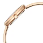 Titan Raga Afterglow Quartz Analog Brown Dial Rose Gold Metal Strap Watch For Women - Image 5