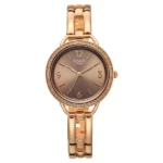 Titan Raga DEC Blaze Quartz Analog Brown Dial Rose Gold Metal Strap Watch For Women