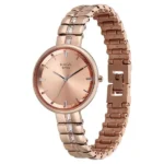 Titan Raga Contempore Quartz Analog Rose Gold Dial Rose Gold Metal Strap Watch For Women - Image 3