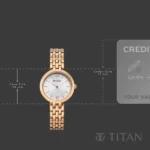 Titan Workday Wonders Quartz Analog Blue Dial Two Toned Metal Strap Watch For Women (Copy) - Image 5