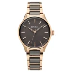 Titan Work Essentials Quartz Analog Brown Dial Two Toned Metal Strap Watch For Women