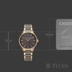 Titan Work Essentials Quartz Analog Brown Dial Two Toned Metal Strap Watch For Women - Image 4