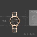 Titan Work Essentials Quartz Analog Black Dial Two Toned Metal Strap Watch For Women - Image 4