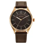 Titan Neo Basics Analog with Brown Dial Brown Leather Strap Watch for Men