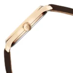 Titan Neo Basics Analog with Brown Dial Brown Leather Strap Watch for Men - Image 5