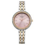 Titan Raga Spotlight Quartz Analog Pink Dial Two Toned Metal Strap Watch For Women
