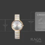 Titan Raga Spotlight Quartz Analog Silver Dial Two Toned Metal Strap Watch For Women - Image 5