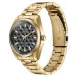 Sonata Poze Quartz Analog Two Toned Dial Golden Colour Stainless Steel Strap Watch For Men - Image 2